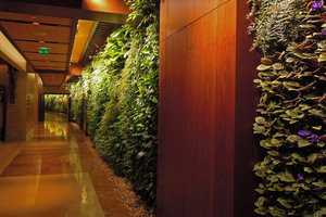 Infinite Vertical Garden in the corridor, Sofitel Palm Jumeirah, Dubai