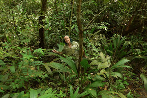 Patrick Blanc in swampy low grounds among Monocots such as Asplundia, Anthurium, Monotagma, Heliconia species, Lagos de Menegua, Puerto Lopez, Meta, Colombia, Oct. 2016