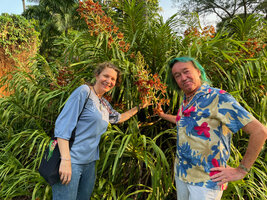 Jana Leong Skornickova and Patrick Blanc around the oldest cultivated individual of Grammatophyllum speciosum, planted in 1861 in the Botanic Gardens thus now 162 years old, Singapore, Oct. 2023 