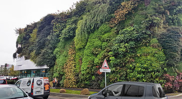 Jupiter, corner view, Sainte Genevieve des Bois, Vertical Garden by Patrick Blanc, six years after installation, Oct. 2019