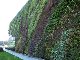 Jupiter, Sainte-Geneviève des Bois, vue latérale, Avril 2014