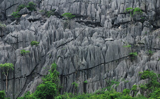 Karst needles with some trees in cracks, Phou Hin Poun NBCA, Khammouane, Laos