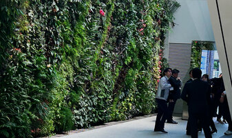 Kawamura Denki in Nagoya, entrance with the vertical garden by Patrick Blanc