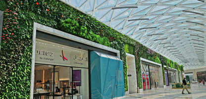 Koweit 360, International Tennis Complex, KITC, part of the 410 m long Vertical Garden by Patrick Blanc six months after plant installation, Aug. 2020