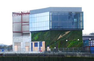 Leamouth Peninsula, work in progress, part of the vertical garden by Patrick Blanc few months after plant installation
