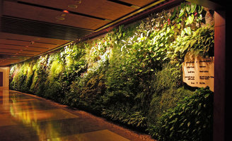 Left Corridor Vertical Garden, Sofitel Palm Jumeirah, Dubai