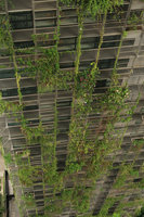 Le Nouvel, Climbers,  Kuala Lumpur, Aug. 2018