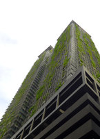 Le Nouvel Towers, Vertical Garden by Patrick Blanc,  a view from jalan Ampang, Kuala Lumpur, Dec. 2016