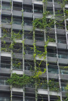 Le Nouvel Towers, climbers web, Kuala Lumpur, Dec. 2016