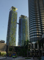 Le Nouvel Towers, Vertical Garden climbers by Patrick Blanc, early morning sun, Kuala Lumpur, Dec. 2016