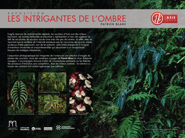 Les Intrigantes de l&#039;Ombre, Texte Presentation