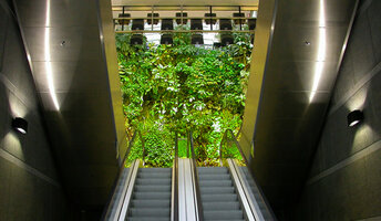 Les Passages de l&#039;Hotel de Ville, Vertical Garden by Patrick Blanc, Boulogne Billancourt