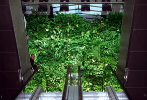 Les Passages de l&#039;Hotel de Ville, Vertical Garden by Patrick Blanc,  Boulogne Billancourt, France