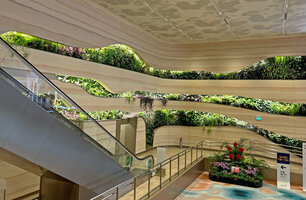 Living green waves at the Immigration, Changi T 2, Singapore