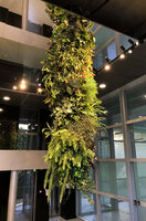 a Living Pendant, DWS Gaston Rebuffat, Paris