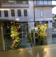 The Living Pendants from the street, DWS Gaston Rebuffat, Paris