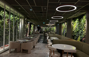 Matthew Kenney restaurant at Printemps Doha, Vertical Garden by Patrick Blanc