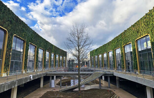 McArthurGlen Paris Giverny, the Ellipse vertical gardens just after plant installation, Feb. 2023