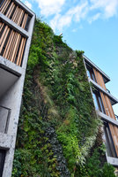 Miroir Vert du Lac, Vertical Garden by Patrick Blanc, Le Sereno , Como Lake, Italy