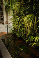 Mur Végétal et bassin au Christarium, avril 2012