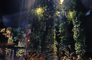 Nausicaa, some Green Columns by Patrick Blanc at the exhibition Sale Temps sur la Planete