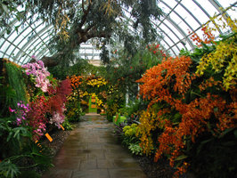 New York Botanical Garden, Orchid Show by Patrick Blanc, Orchid Corridor