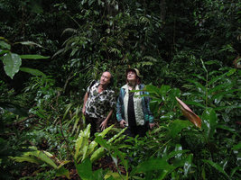Noémie Vialard and Patrick Blanc looking at epiphytes, Cameron Highlands, Malaysia, March 2014