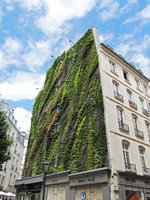 Oasis Aboukir, side view, Paris, 29th May 2013