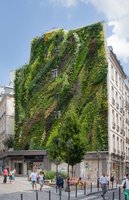 Oasis d&#039;Aboukir by Patrick Blanc, Paris, Aug. 2013