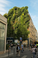 Oasis d'Aboukir by Patrick Blanc, a view from rue d'Aboukir, June 2017
