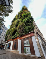 Oasis d&#039;Aboukir by Patrick Blanc, Paris, Oct. 2024