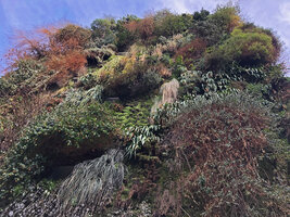 Oasis d'Aboukir during a cold winter spell, Feb. 2021