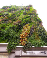 Oasis d&#039;Aboukir in October 2013