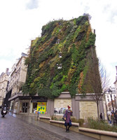 Oasis d'Aboukir in winter, 5th Feb 2014