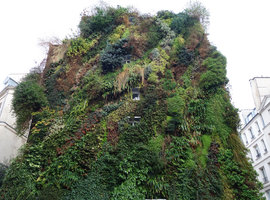 Oasis d'Aboukir in winter, Paris, January 2015