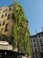 Oasis d' Aboukir, one year after the plant installation, seen from rue des Petits Carreaux, early April 2014