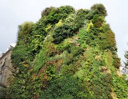 Oasis d' Aboukir, Paris, 24 August 2015