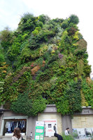 Oasis d' Aboukir, Paris, 9th June 2015