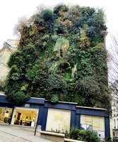 Oasis d'Aboukir, Paris, Dec. 2021