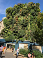 Oasis d'Aboukir, Vertical Garden by Patrick Blanc, Sept. 2018
