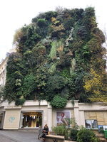 Oasis d'Aboukir Vertical Garden on 25th November 2020