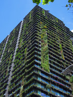 One Central Park Vertical Gardens by Patrick Blanc, Sydney, corner view