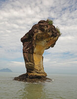 Sandstone tower rock observed by Patrick Blanc in Bako, Sarawak, a perfect inspiration for the Dreamscape Garden in Changi T2, Singapore