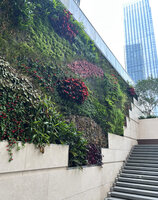Outdoor protected vertical garden with Aeschynanthus, Nepenthes, Platycerium, Begonia etc, C Future City, Shenzhen