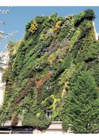 Green Cities in the World, Chapter  19