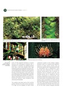 Green Cities in the World, Chapter  19