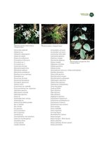 Green Cities in the World, Chapter  19