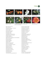 Green Cities in the World, Chapter  19