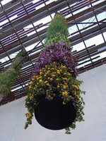 PAMM Museum, one growing Column, Miami, Dec 2013