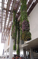 PAMM Museum, some Green Columns, Miami, Dec 2013